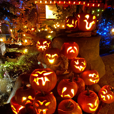 pumpkins