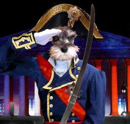 napoleon