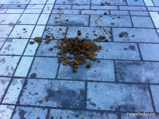 police horseshit