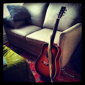 Seb guitar