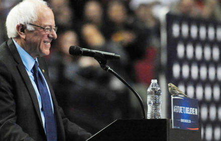 bernie-birdie