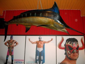 Nacho Libre Marlin chris zacchia