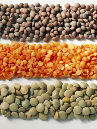 types-of-lentils