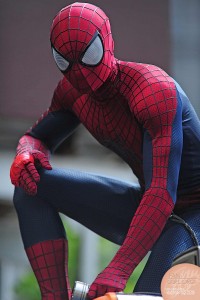 Spidey insert
