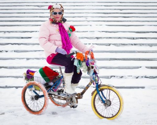 Cat cycling (1)
